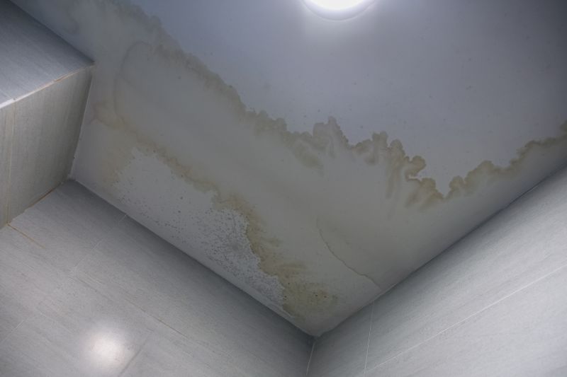 Bedroom Leak Repair