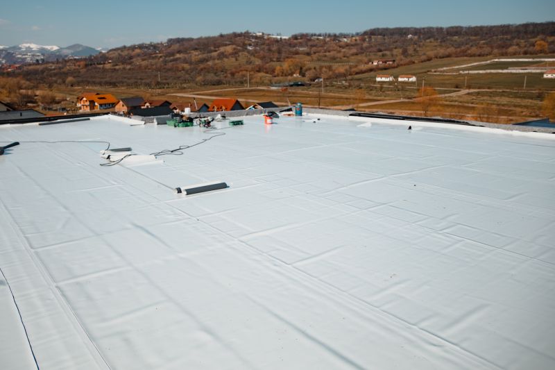 Commercial Roofing Project